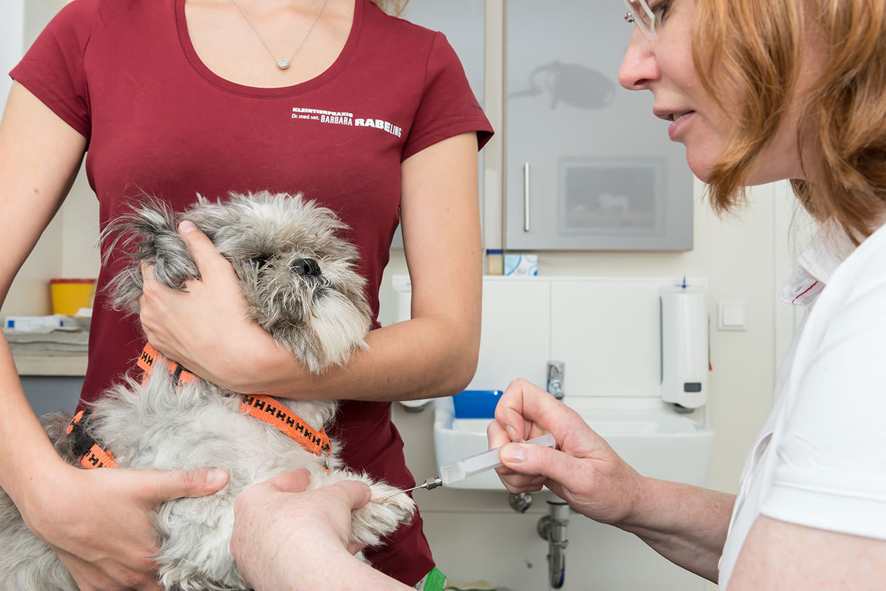 Kleintierpraxis Dr. med. vet. Barbara Rabeling