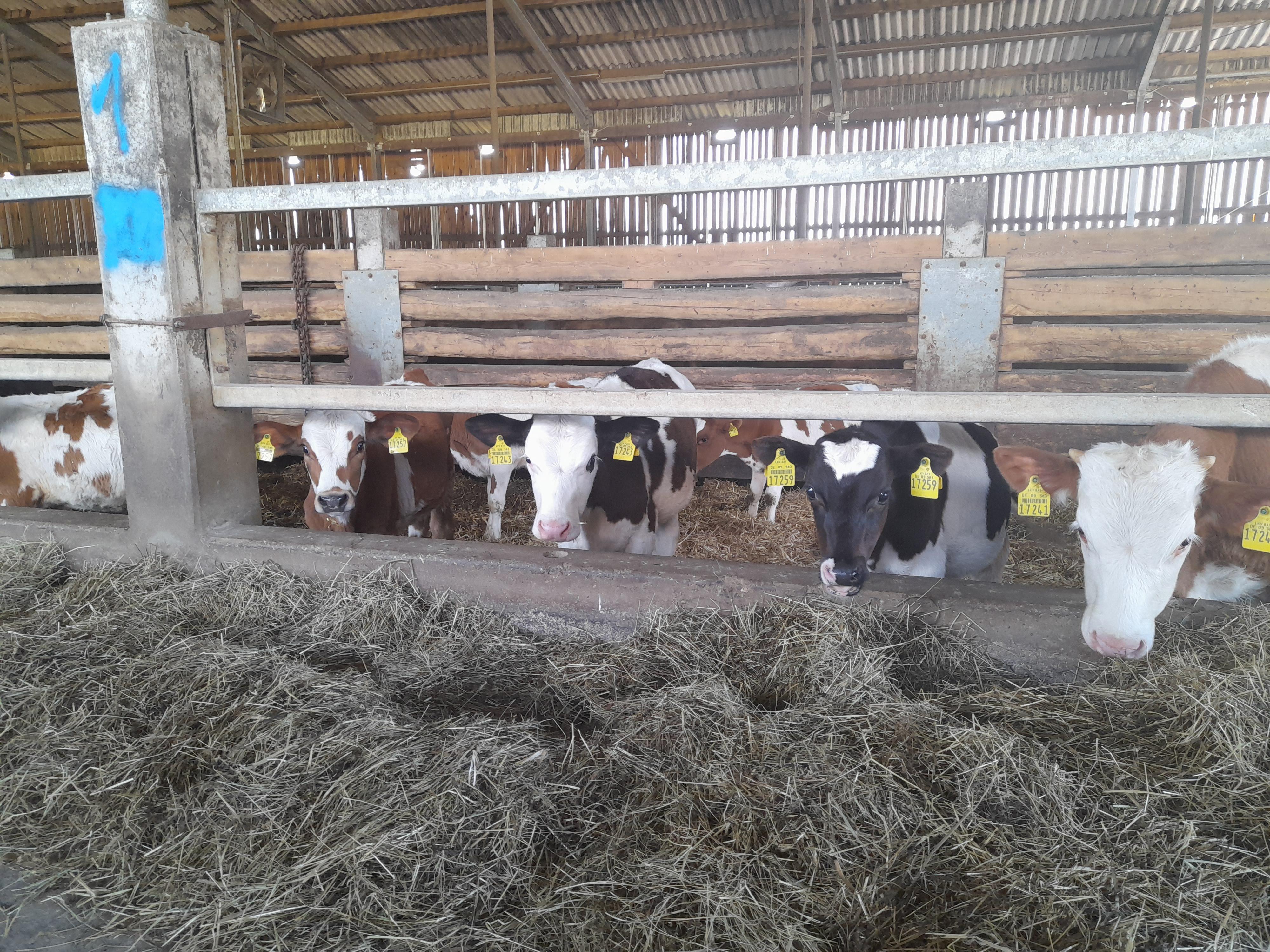 Landwirtschaftsbetrieb Ulli Zwingel