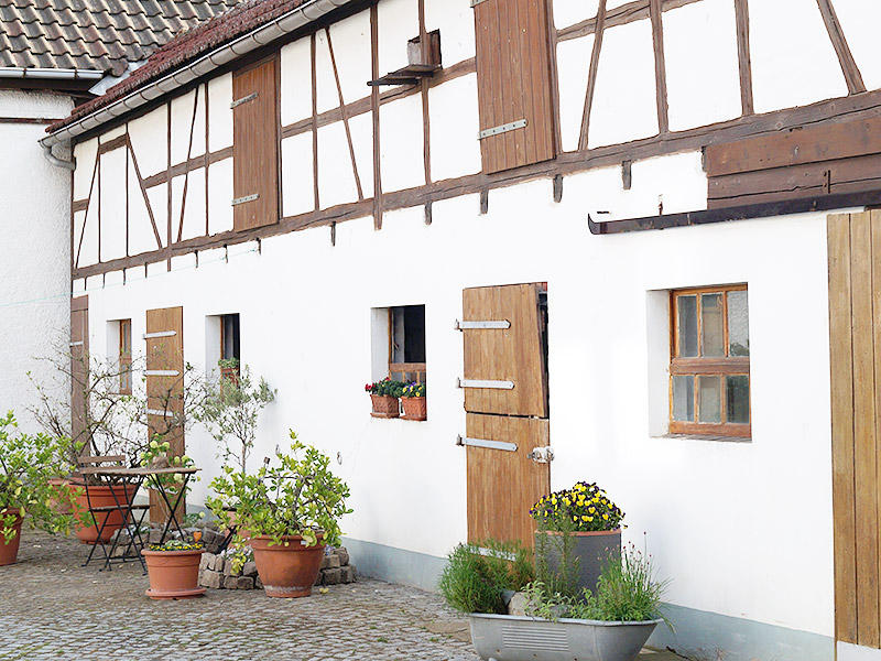 Malerbetrieb Frank Schieck GmbH