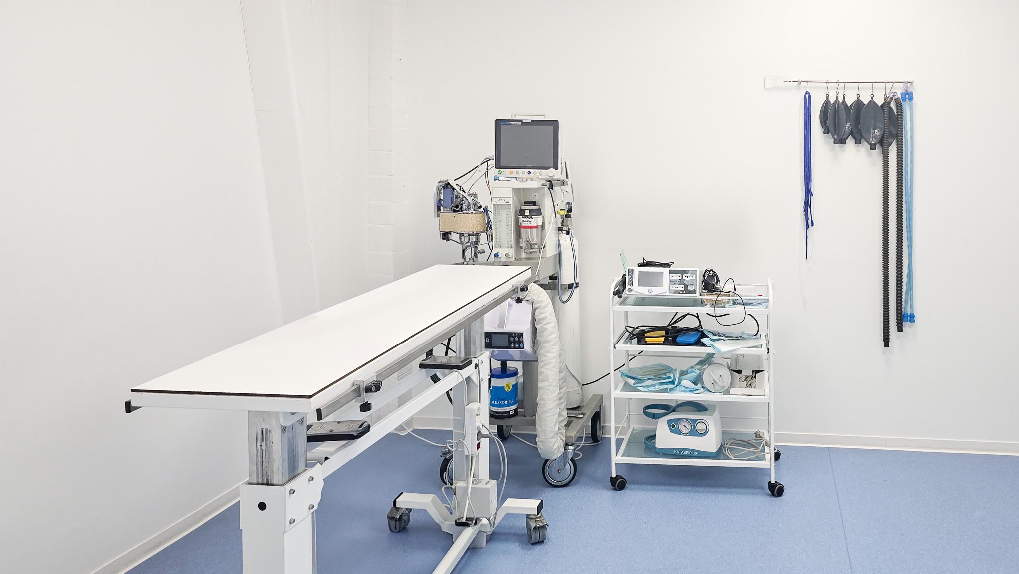 Medivet Gelsenkirchen