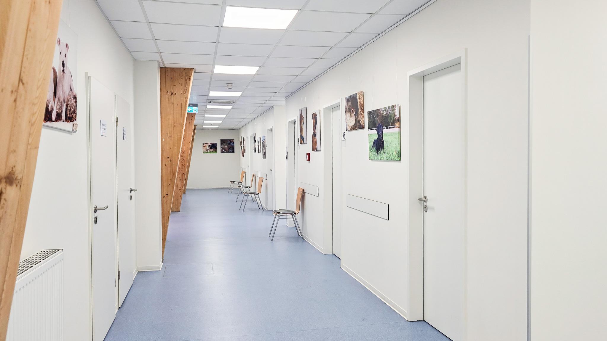 Medivet Gelsenkirchen