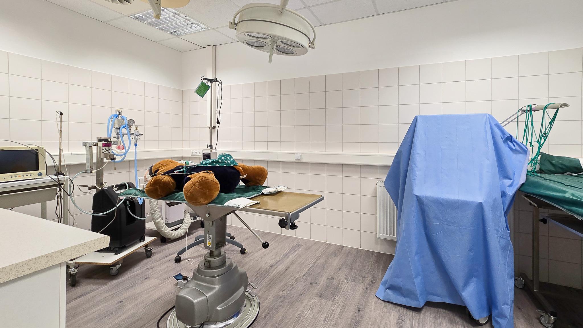 Medivet Tierarztpraxis Münster