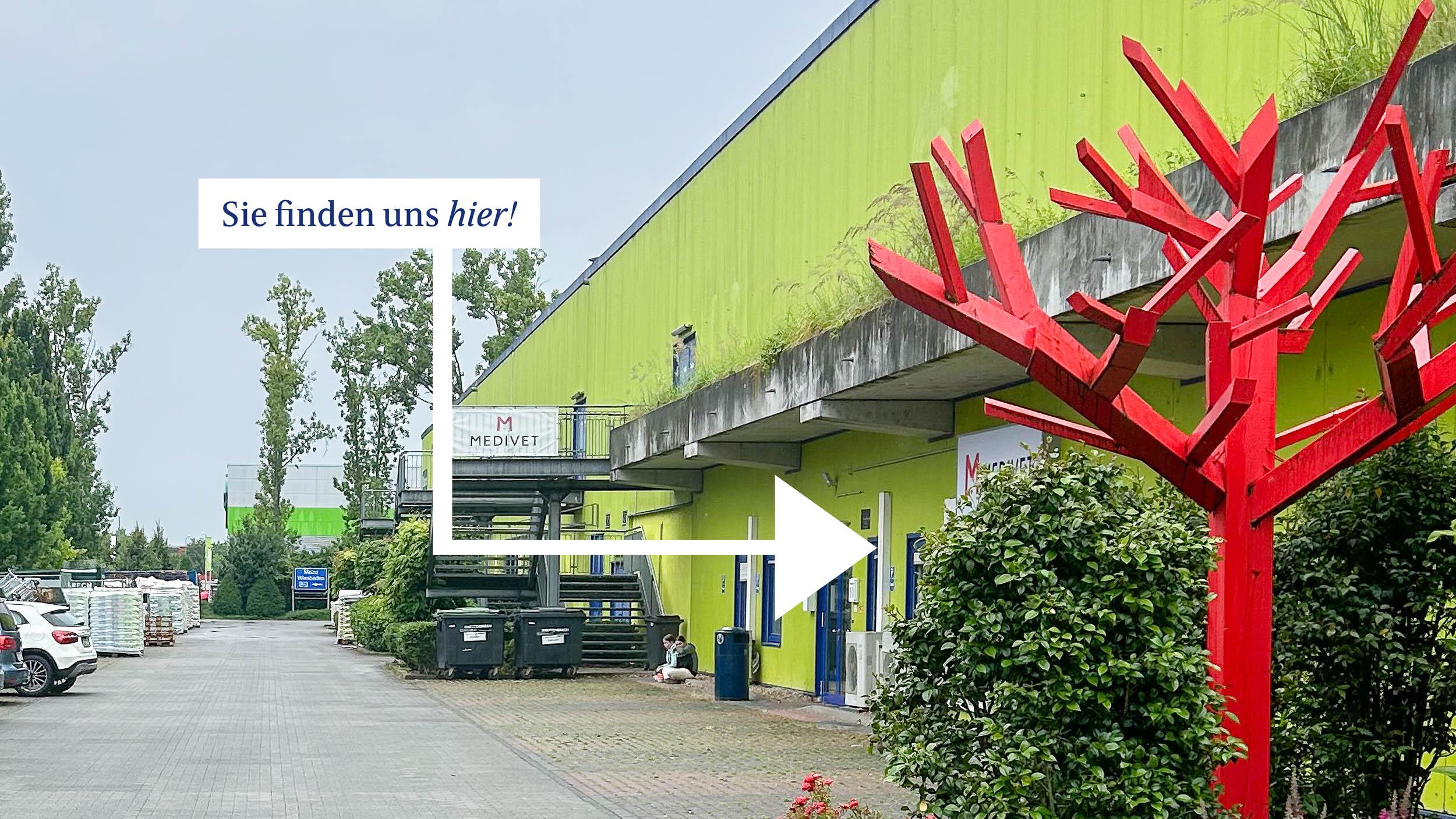 Medivet Tierarztpraxis Wiesbaden