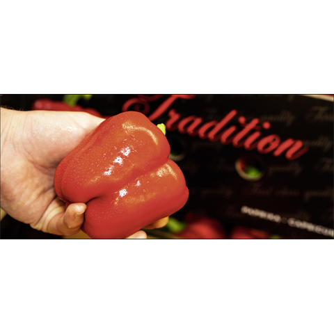 Mussler-Früchtedienst