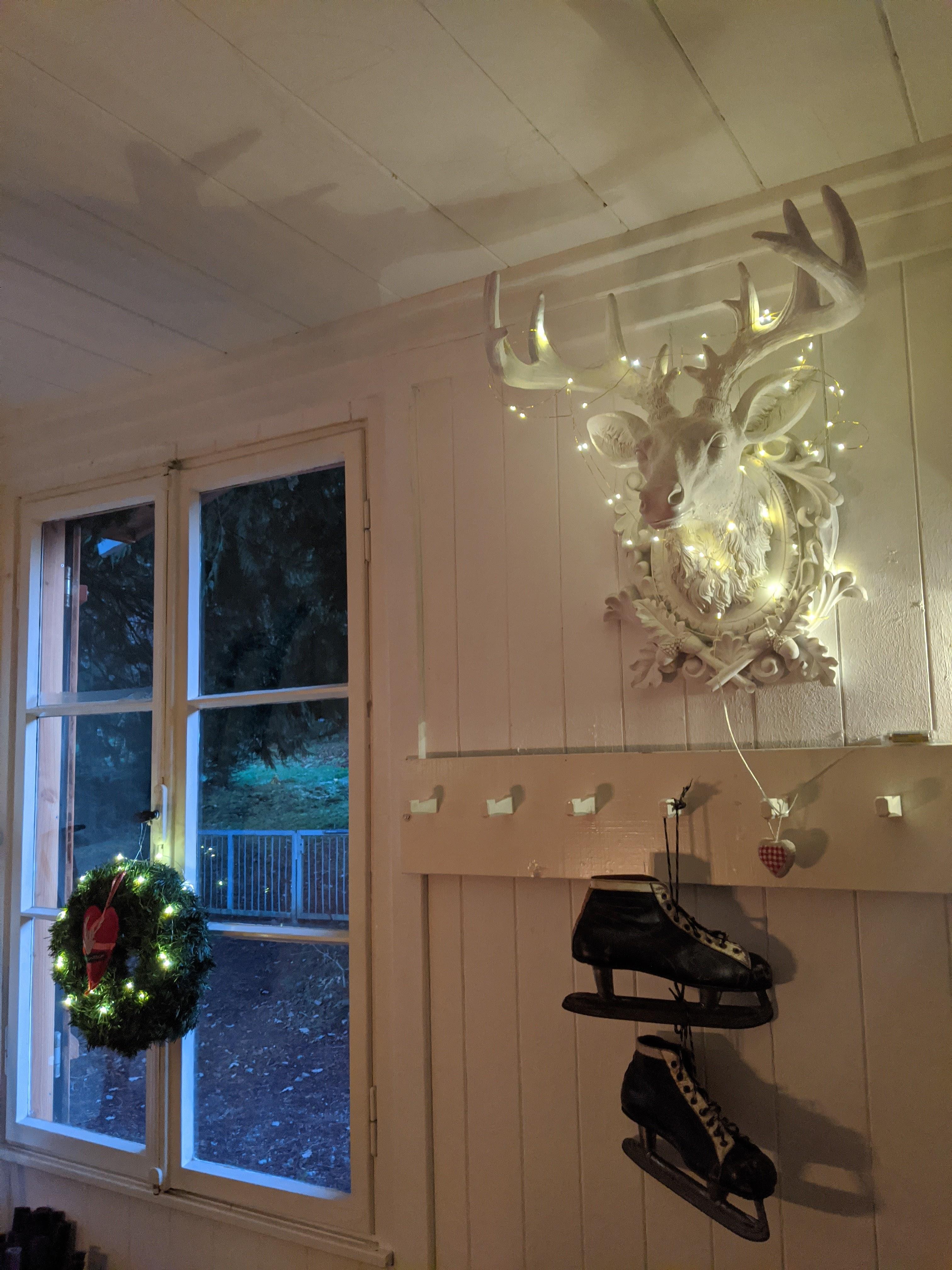 NaturPur Events - Outdoor Activities