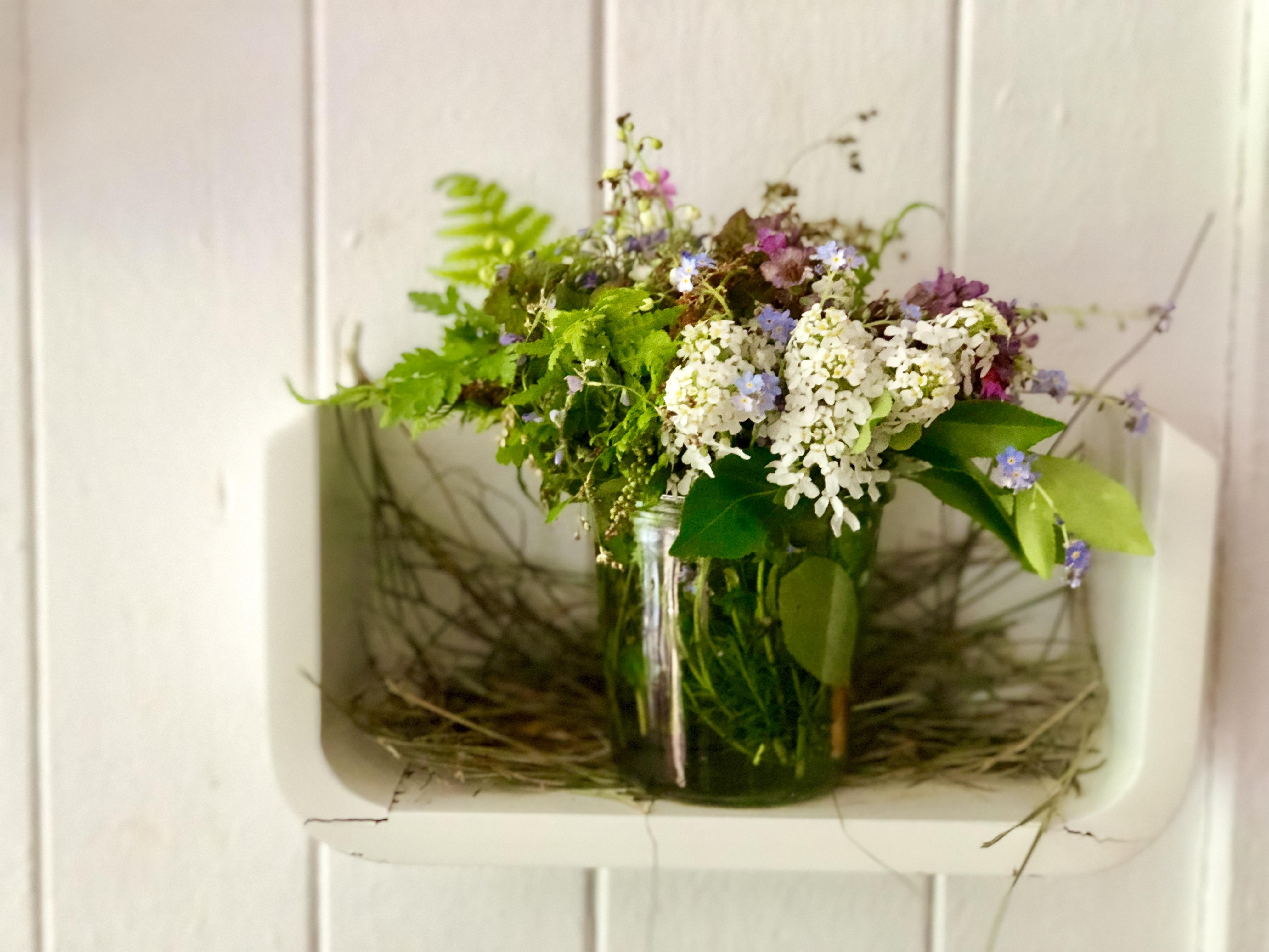 NaturPur Events - Outdoor Activities