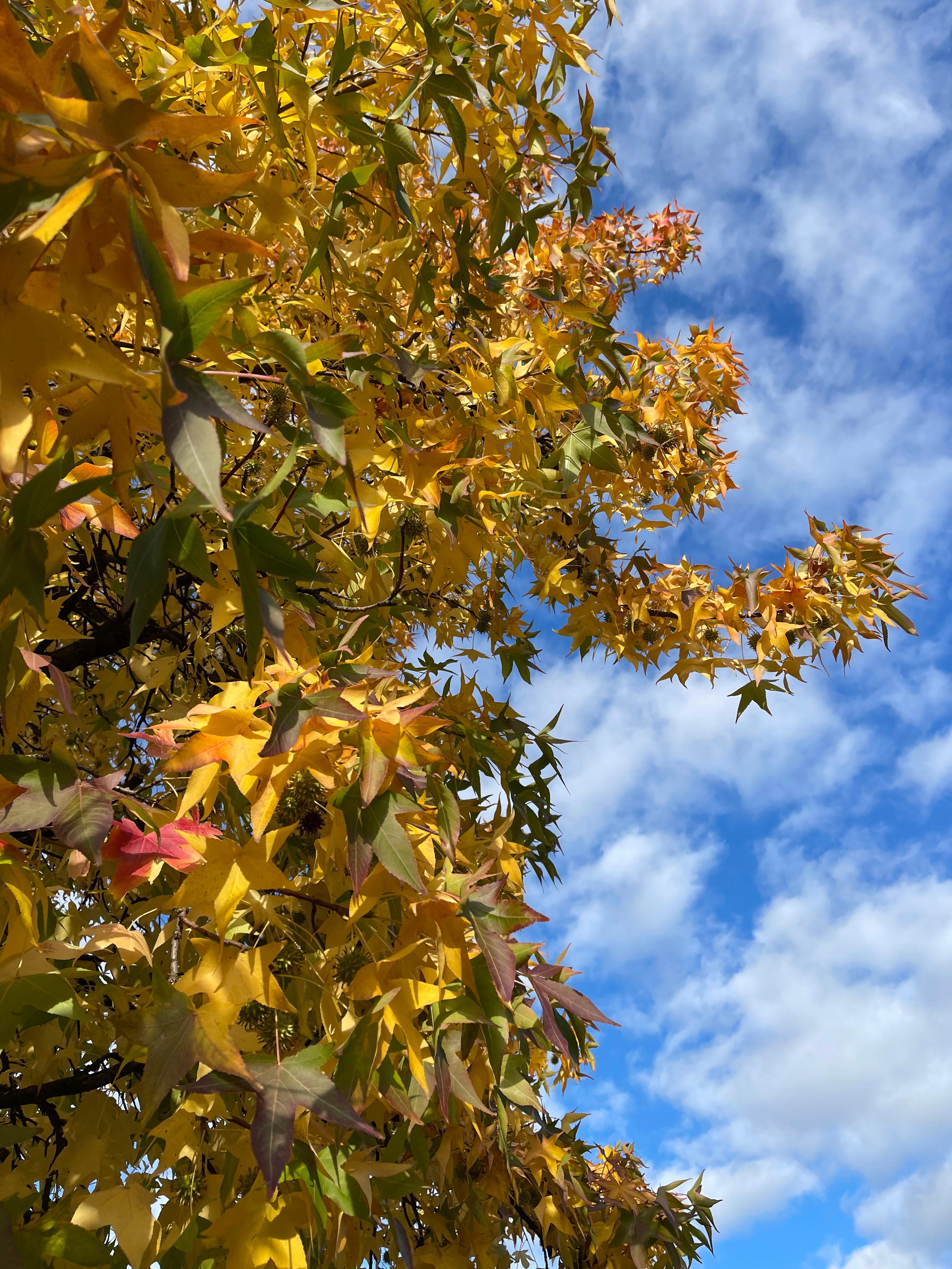 NaturPur Events - Outdoor Activities