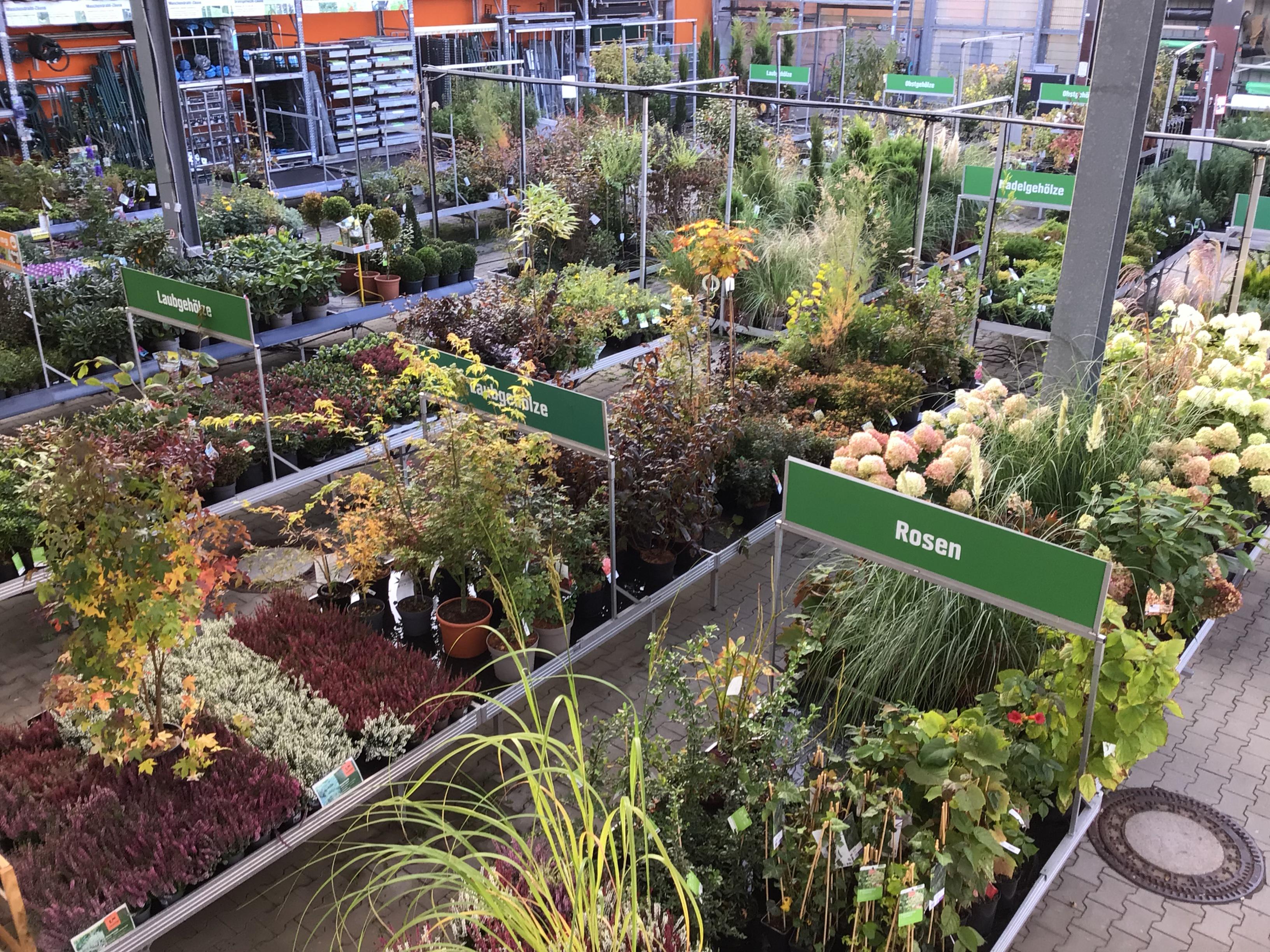 OBI Gartencenter Ebersbach-Neugersdorf