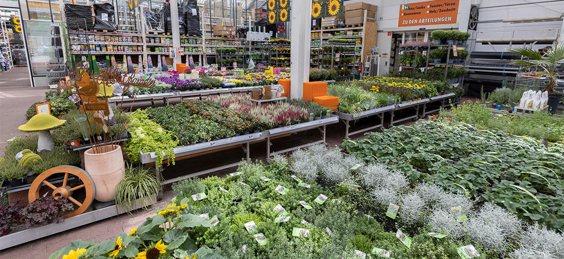 OBI Markt Biedenkopf-Wallau