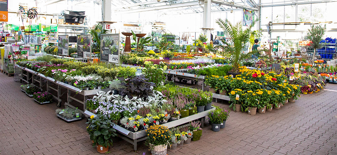 OBI Markt Dresden Weißig