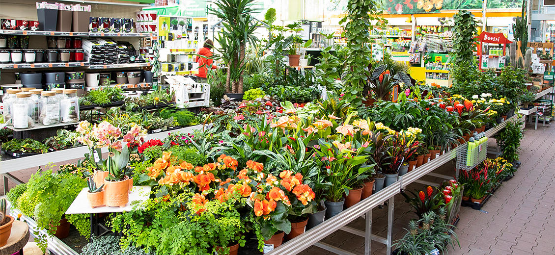 OBI Markt Dresden Weißig