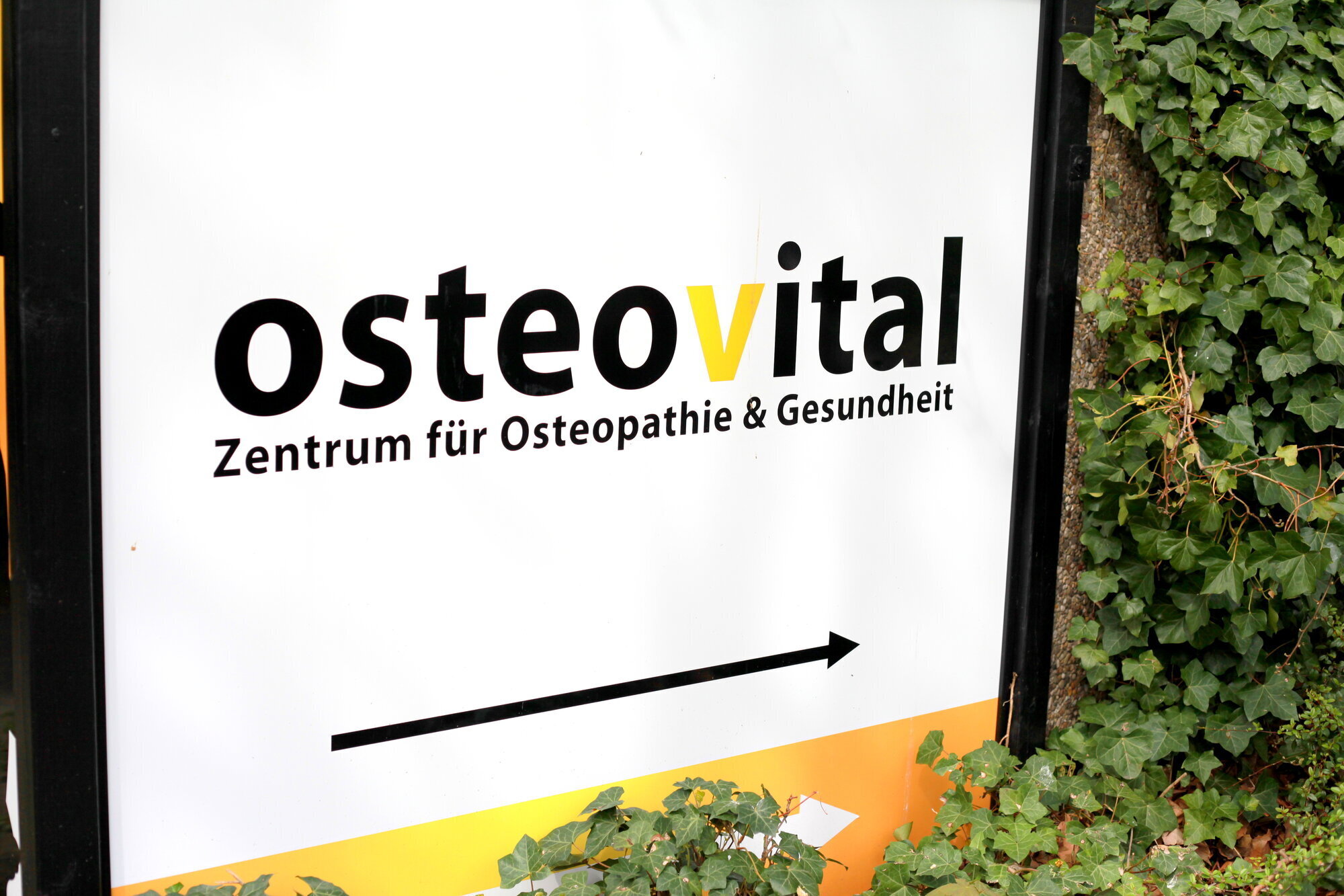 OSTEOVITAL - Osteopathie & Personal Training Hamburg