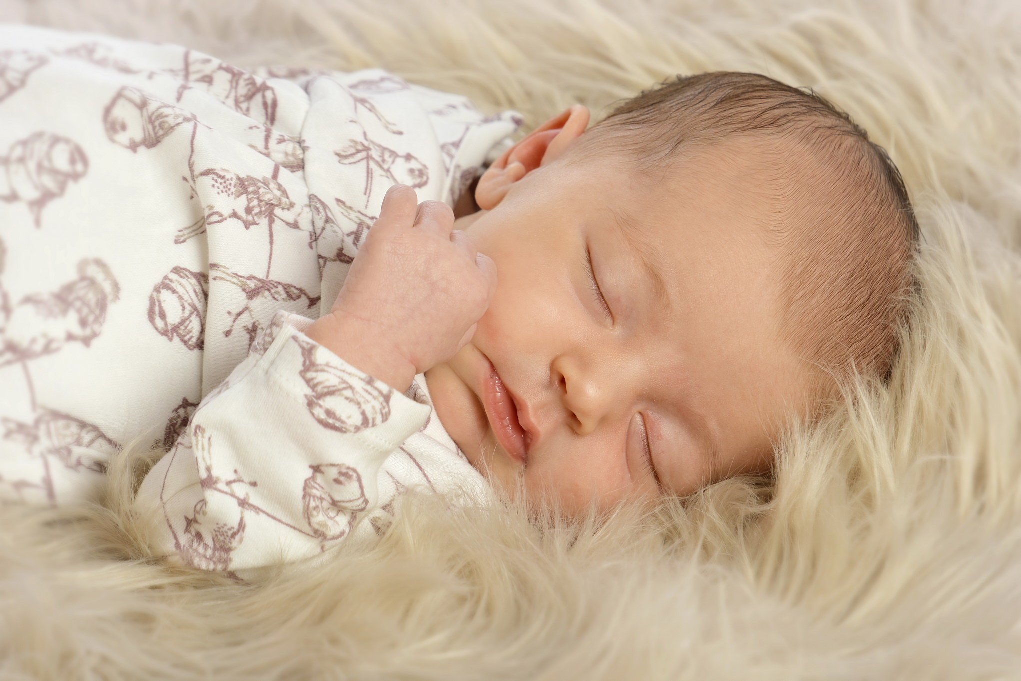 Photo-König Lobenstein e.K.