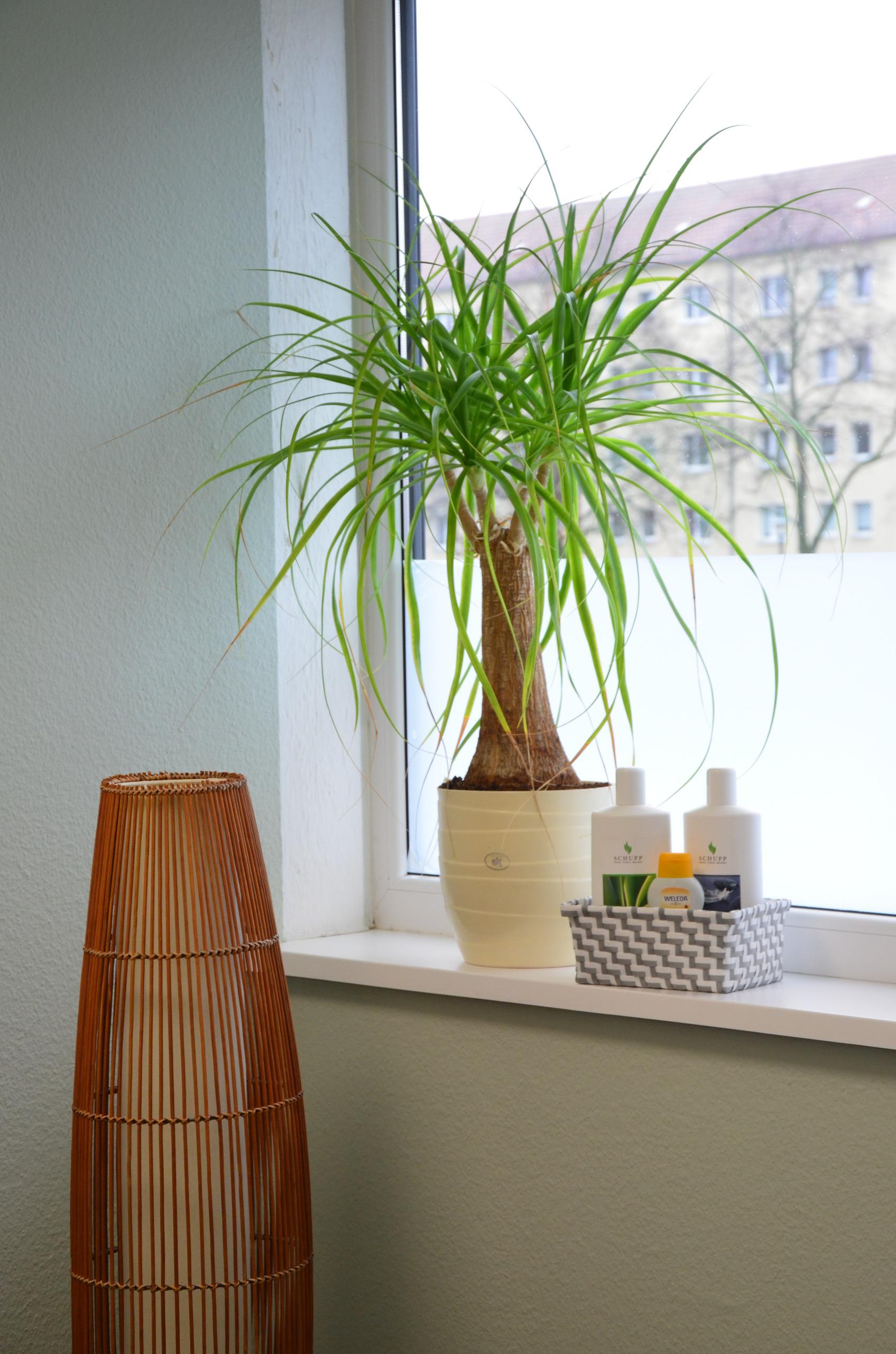 Physiotherapie Constanze Lauchart