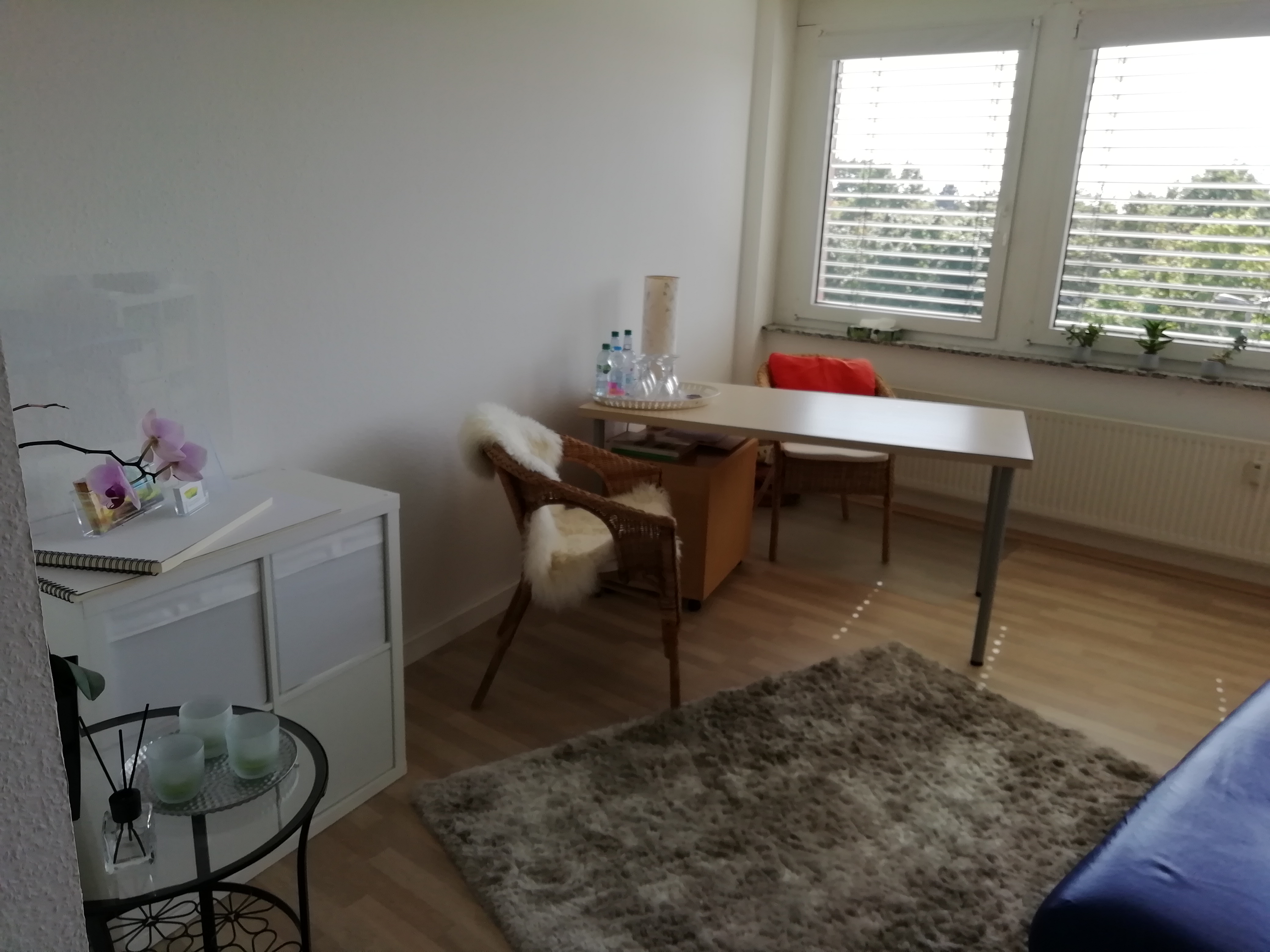 Psychotherapie nach dem Heilpraktikergesetz Jutta Eckart