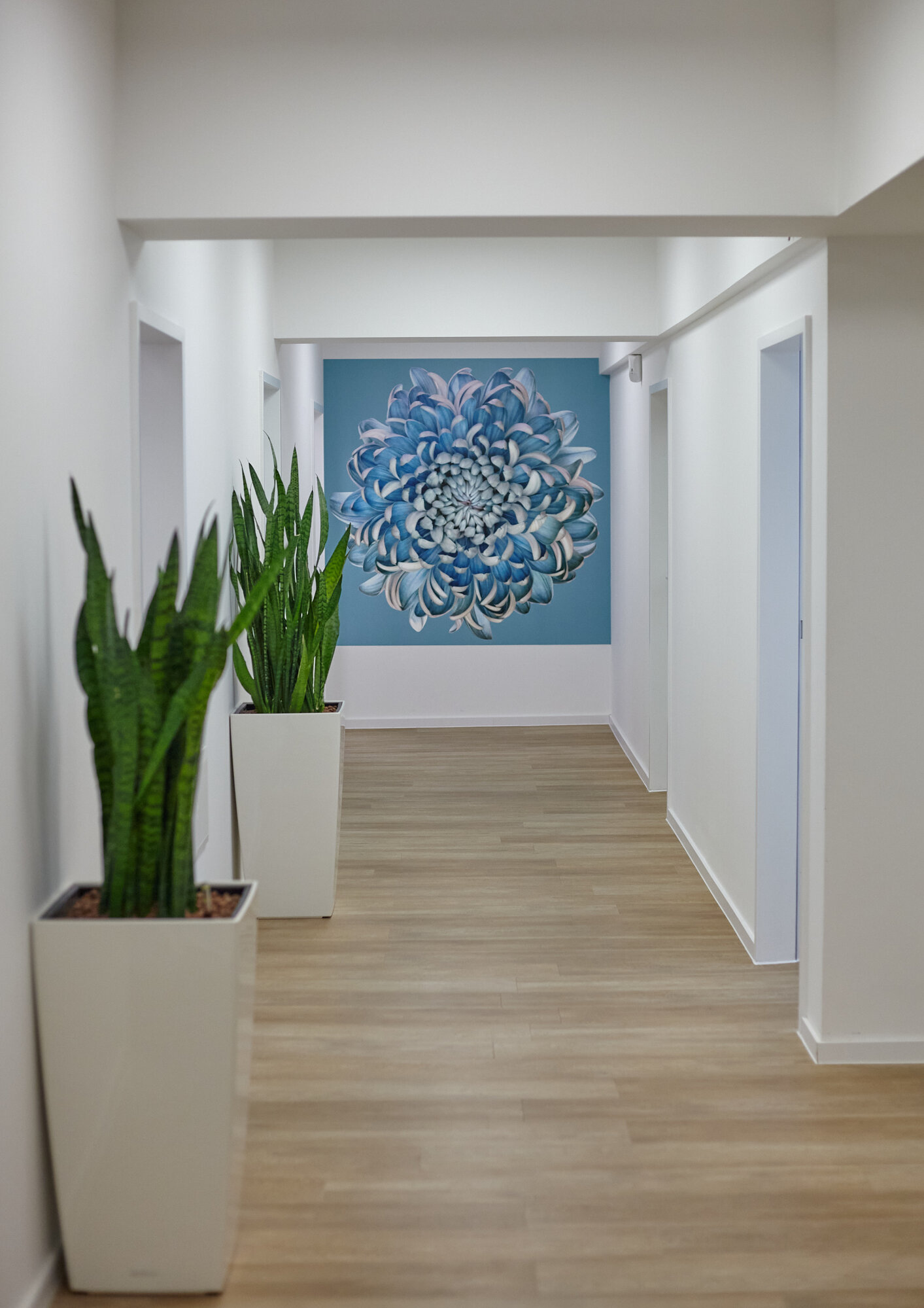 richmodent - zahnärzte Köln