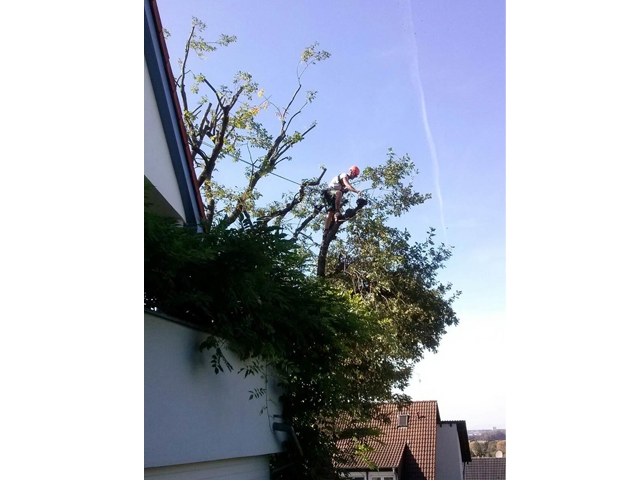 Roland Schulz Garten- und Landschaftsbau