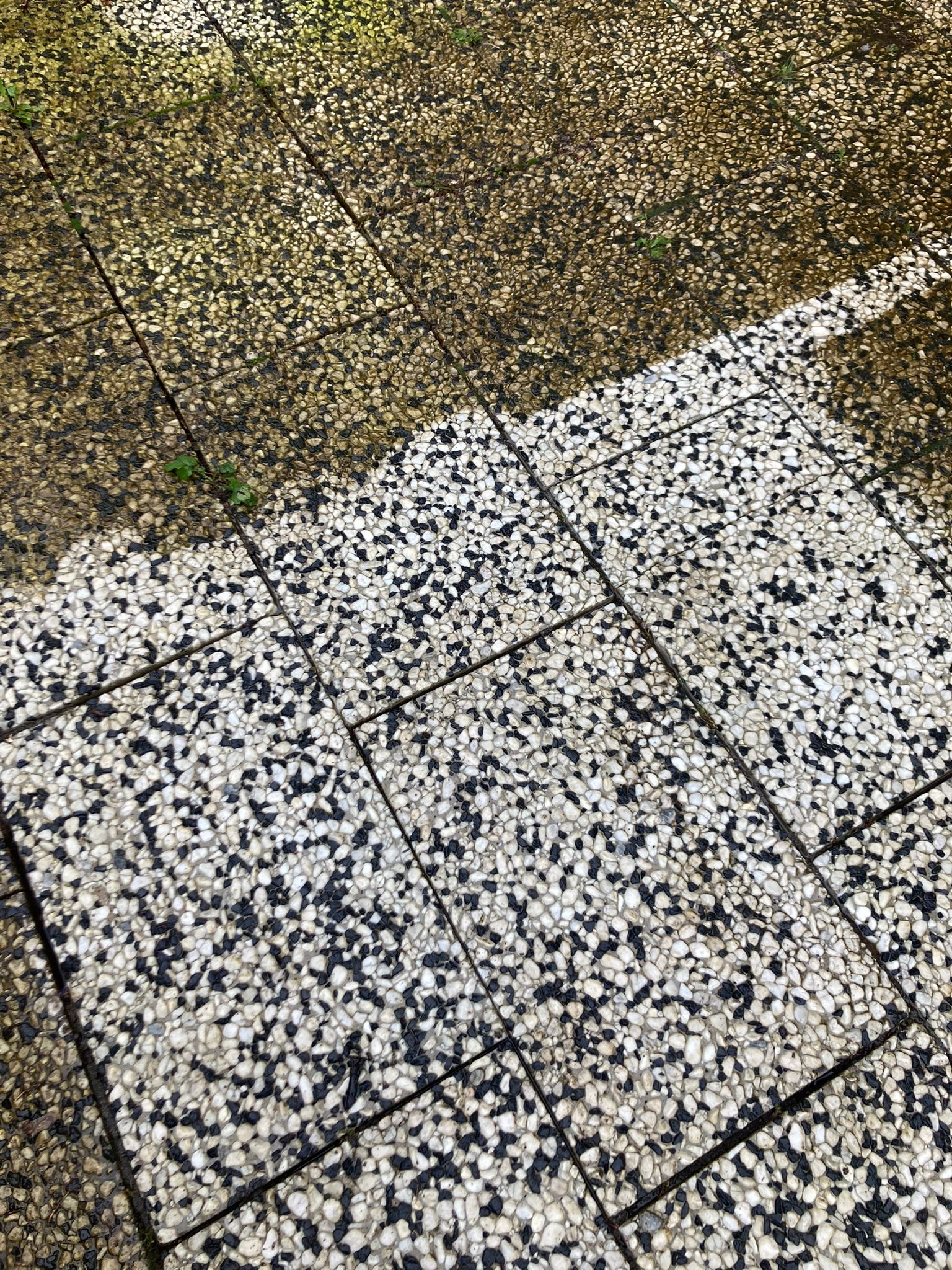 Sascha Hube Sanierungscenter Hube