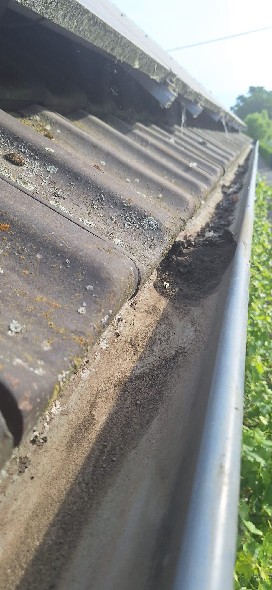 Sebastijan Hausmeister-Service