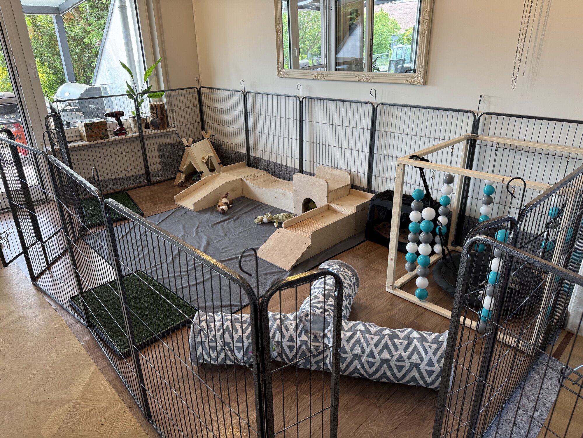 Shades of Joy - Aussies und Minis