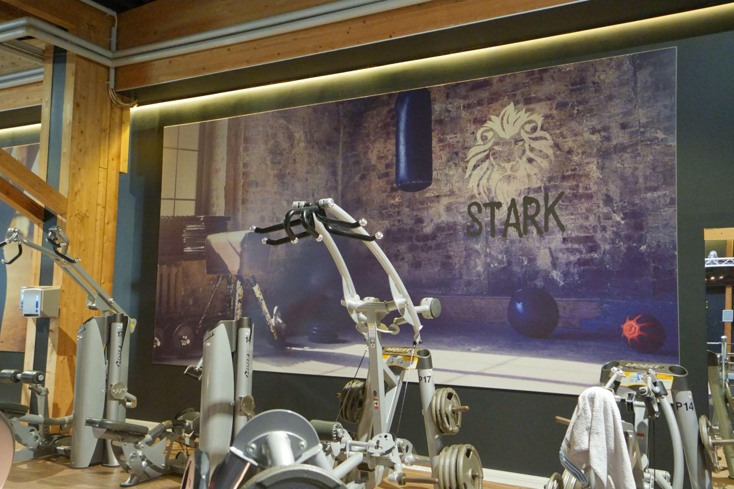 Stark Fitness und Lifestyle