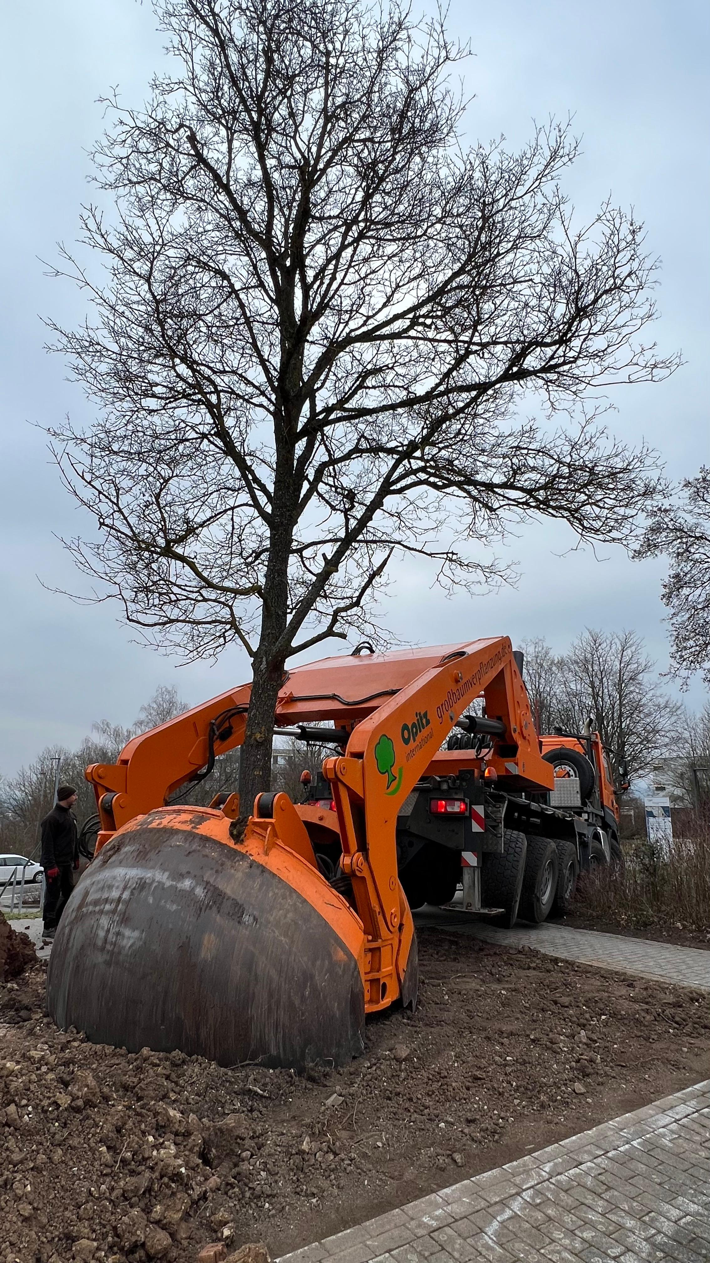 Stemmler Gartengestaltung oHG