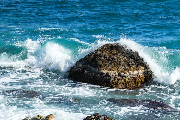 Svetlana Gutlin Life Coach