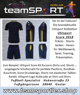 Teamsport Goslar