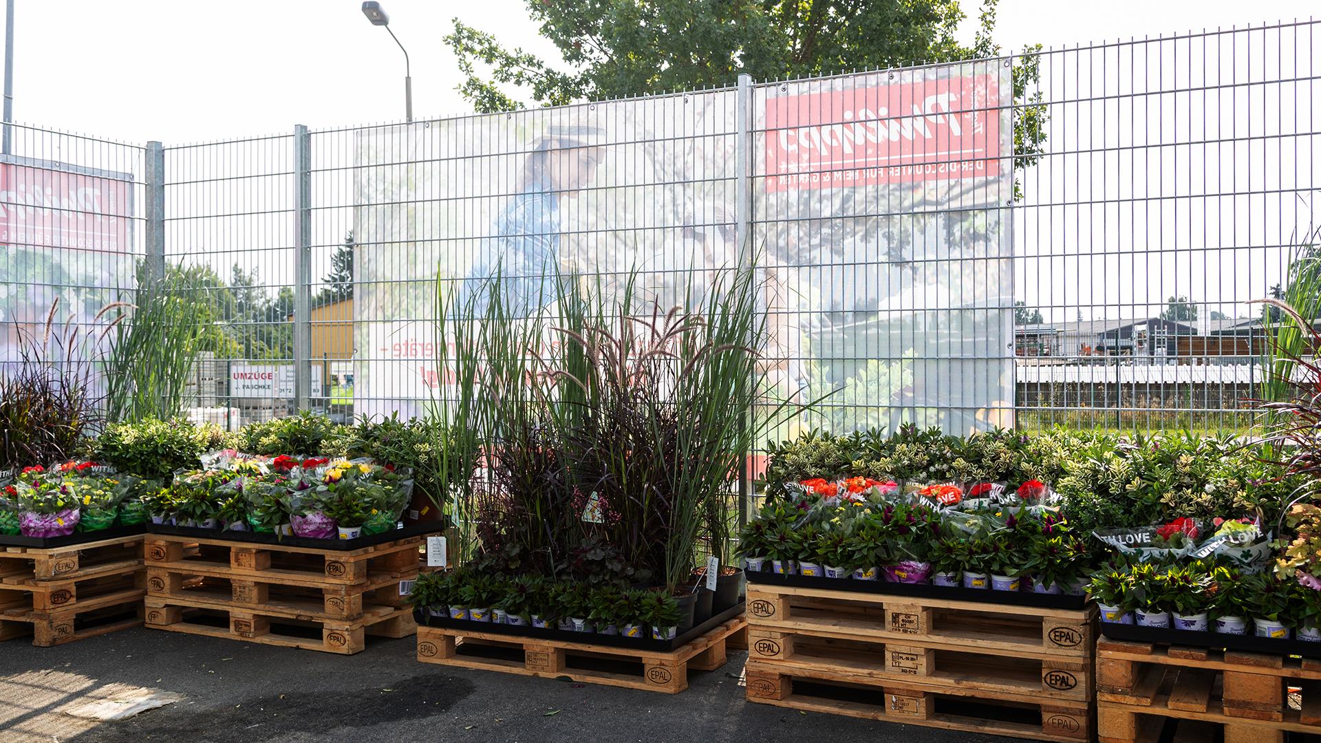 Thomas Philipps Lübz