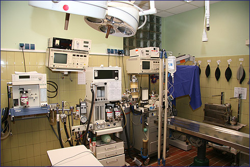 Tierärztliche Kleintierklinik Dr. Adalbert Herrmann