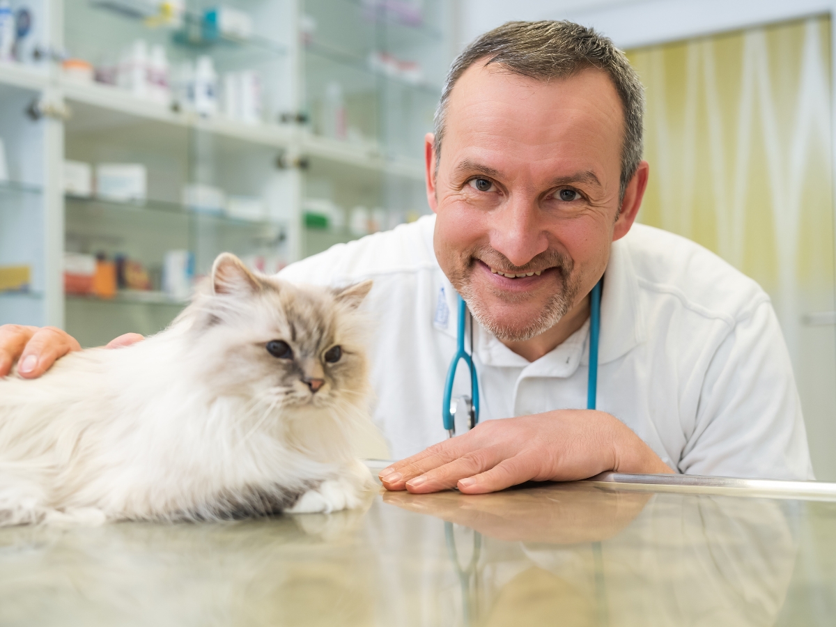 Tierarzt Berlin Prenzlauer Berg, Tierarztpraxis und Tierphysiotherapie Uwe Lenk