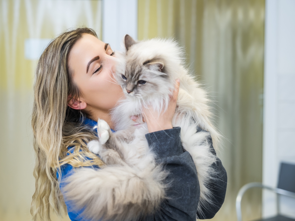 Tierarzt Berlin Prenzlauer Berg, Tierarztpraxis und Tierphysiotherapie Uwe Lenk