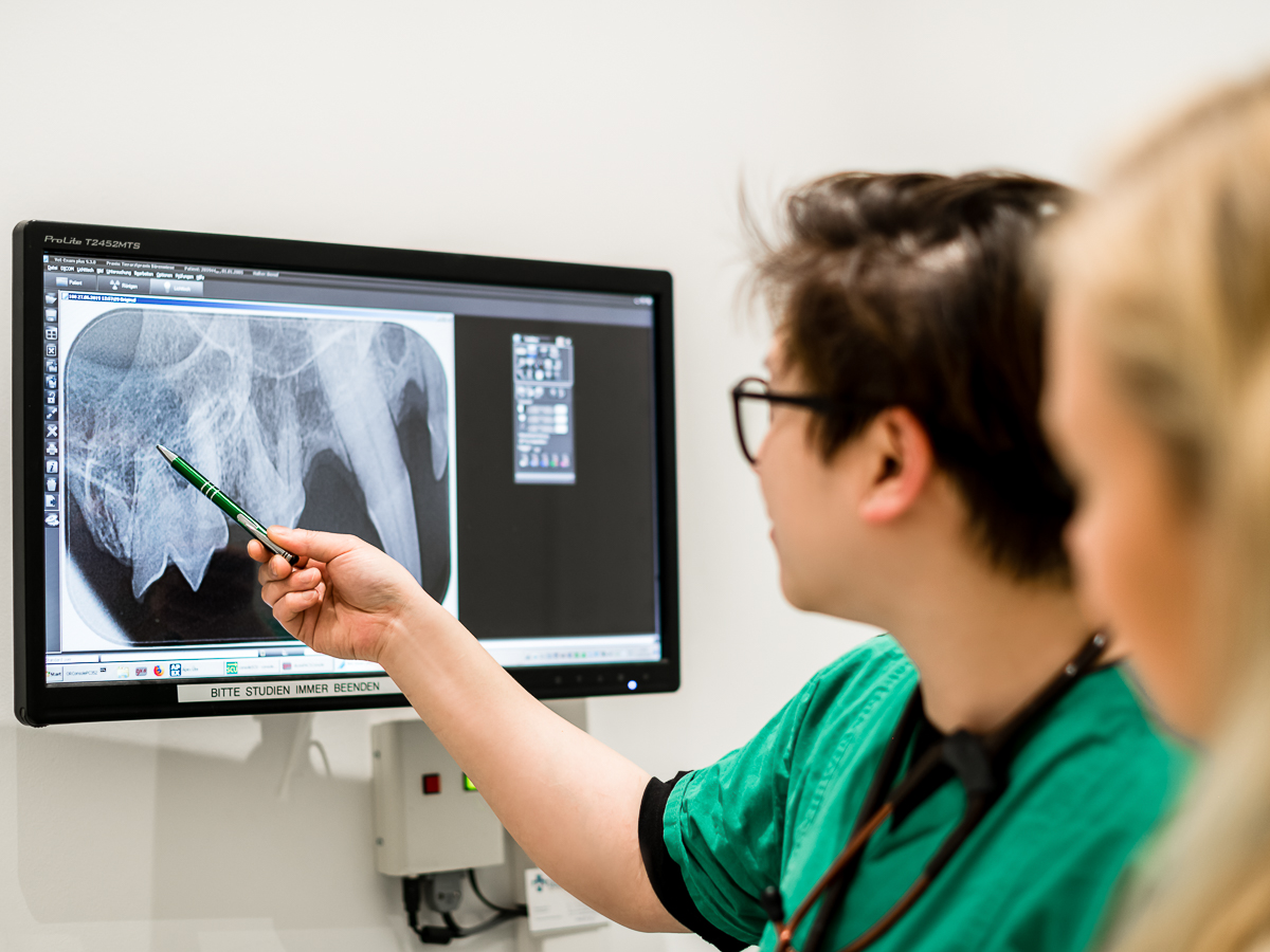 Tierarztpraxis Bärenwiese, Tierarzt Berlin-Wilmersdorf