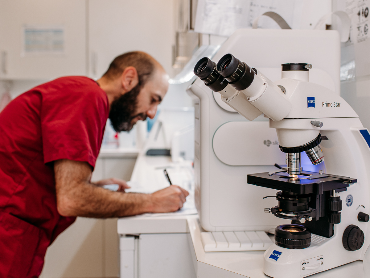 Tierarztpraxis Bärenwiese, Tierarzt Berlin-Wilmersdorf