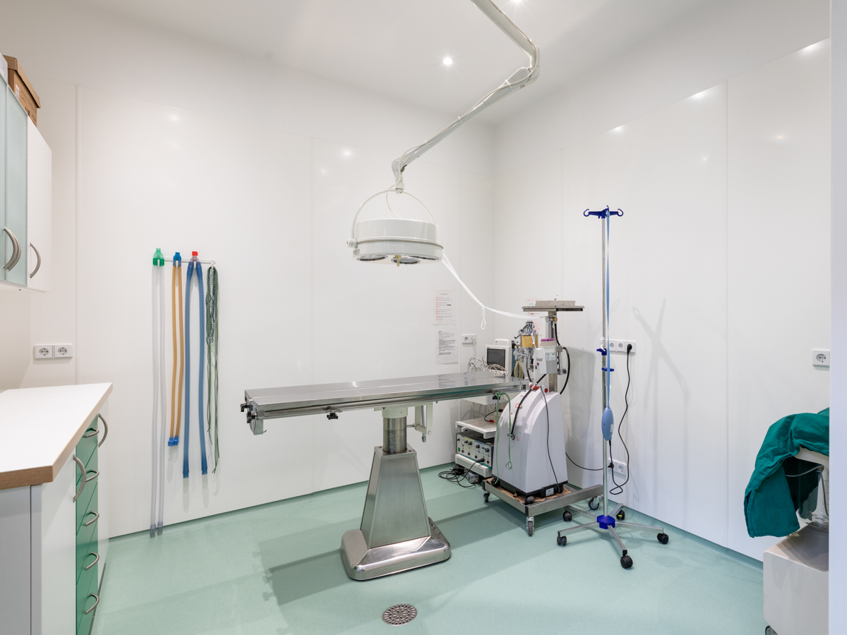 Tierarztpraxis Bärenwiese, Tierarzt Berlin-Wilmersdorf