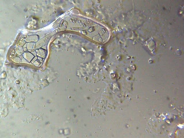 Tierarztpraxis Lässig