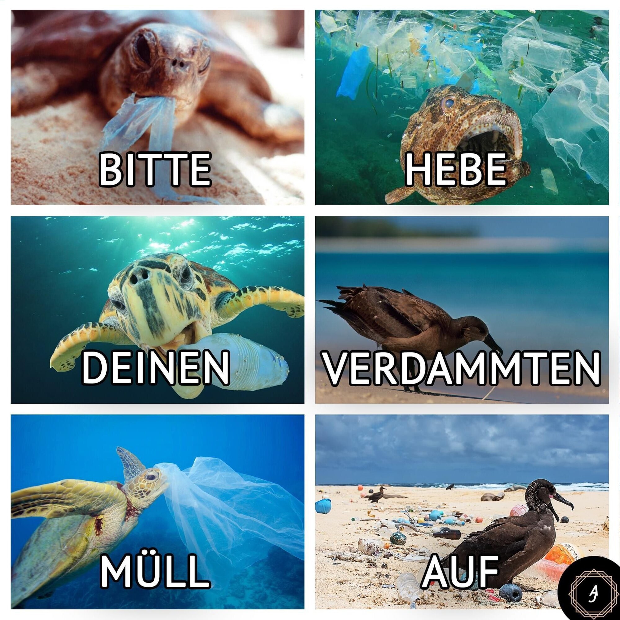 Tierarztpraxis Ullmann