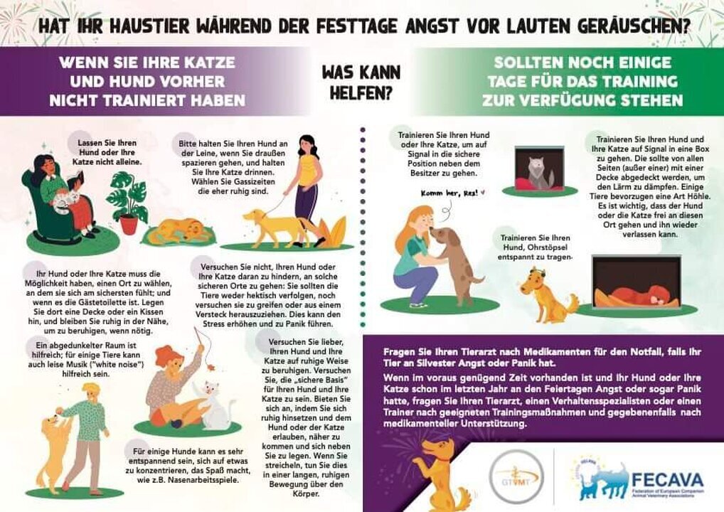 Tierarztpraxis Ullmann