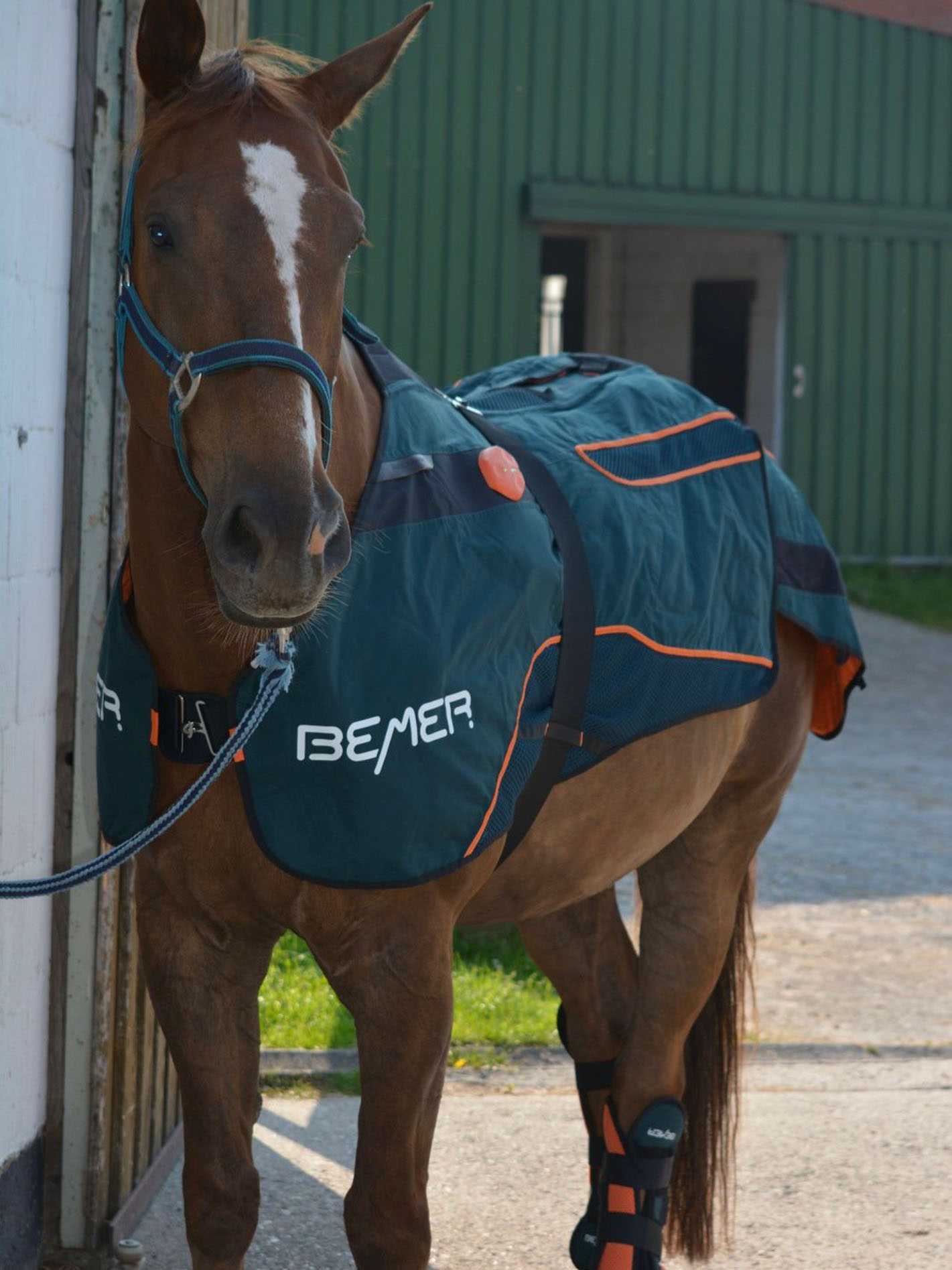 Tiernahrungsexperte Marius Landau