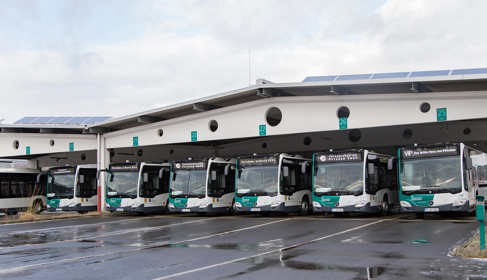 ViP Verkehrsbetrieb Potsdam GmbH