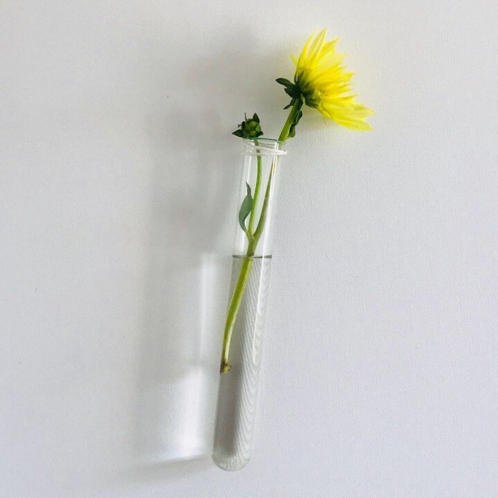 Zahnarztpraxis Doctor Medic Ionel Cristian Stirbu: Zahnarzt Ellwangen