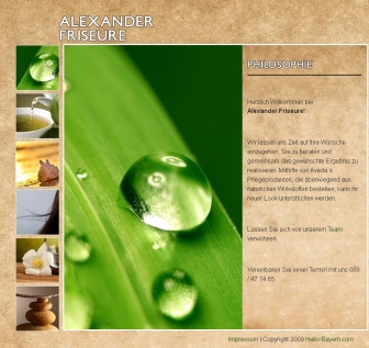http://alexander-friseure.de