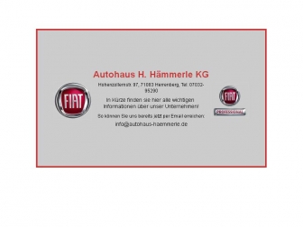 http://autohaus-haemmerle.de