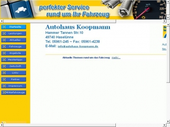 http://autohaus-koopmann.de