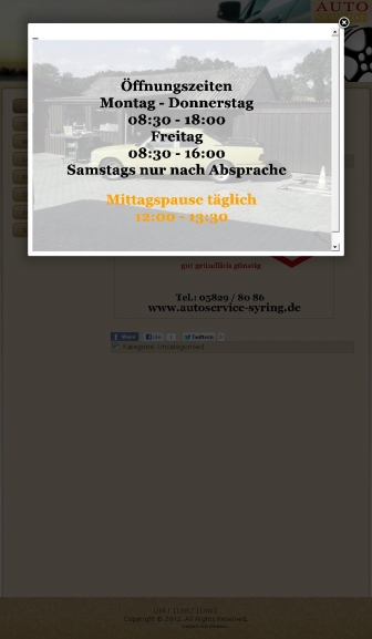http://autoservice-syring.de