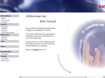 http://basconsult.de