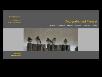 http://berndseberich.de
