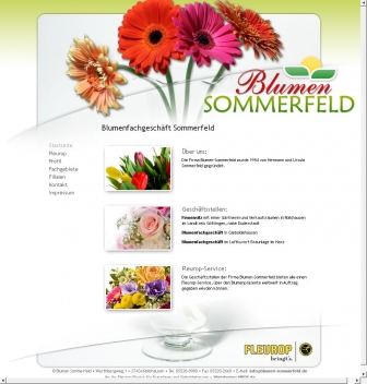 http://blumen-sommerfeld.de