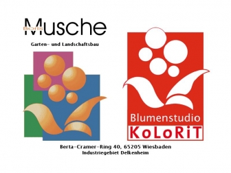 http://blumenstudio-kolorit.de