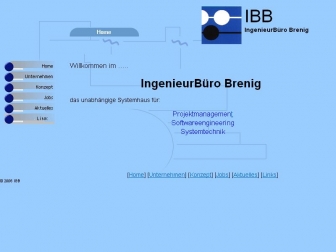 http://brenig-consult.de